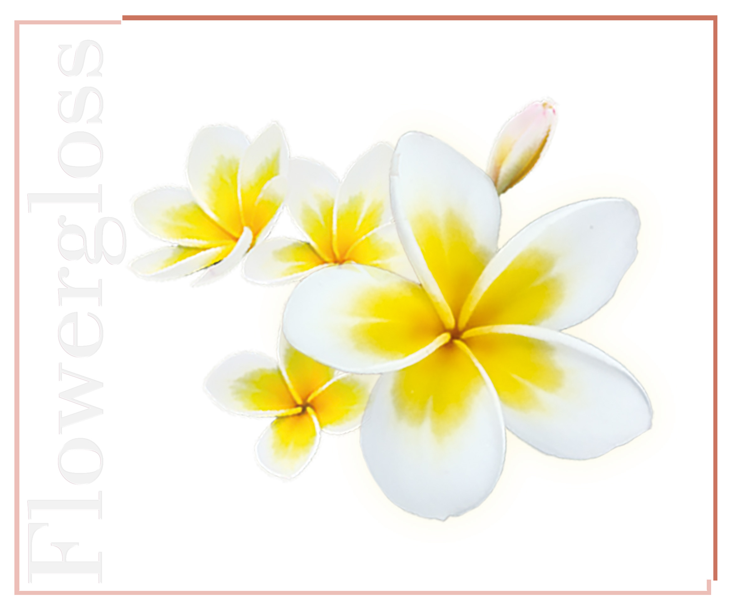 Shaoyun Flowergloss FG10 Frangipani Lipgloss Bronze vegan