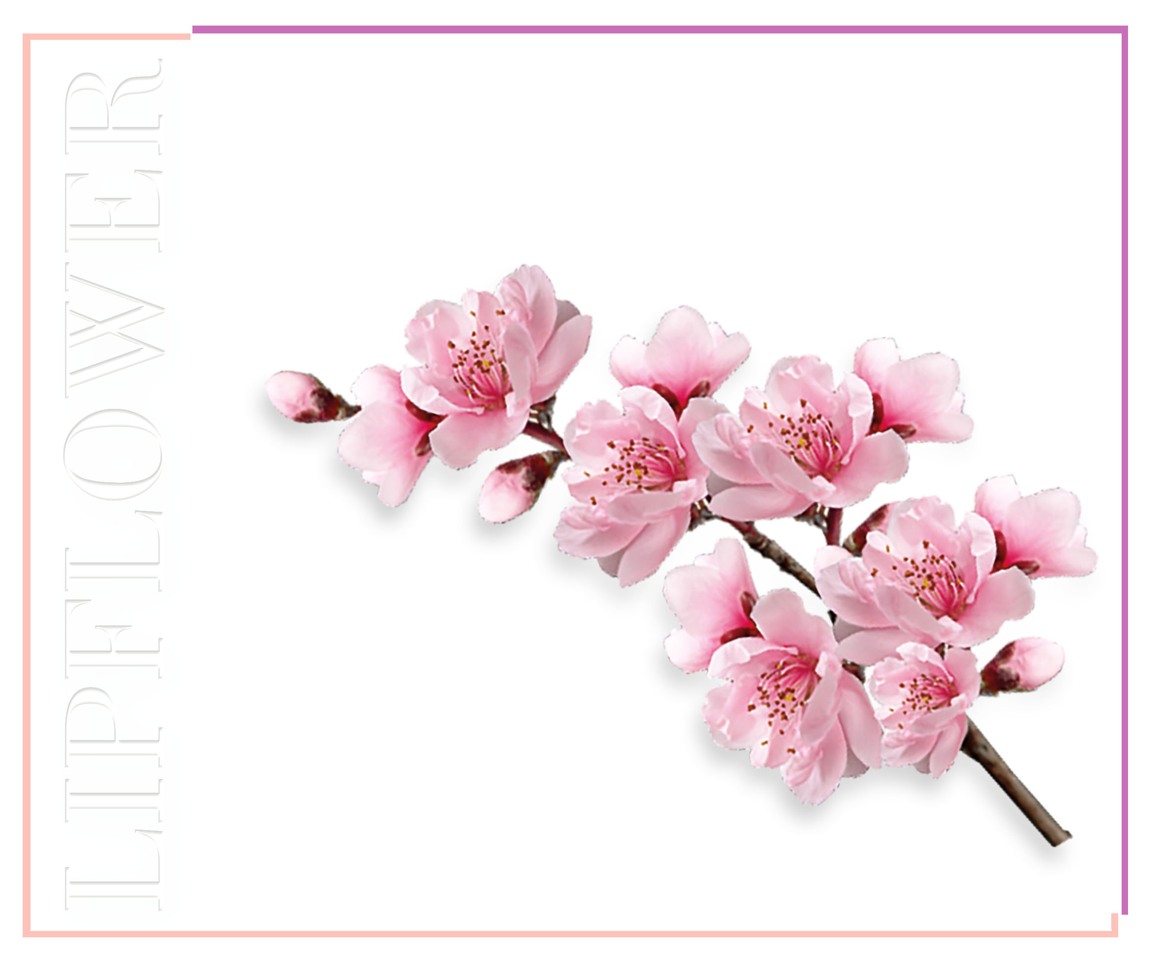Shaoyun Lip Flower Pfirsichblüten 182 Lippenstift Lila pflegend