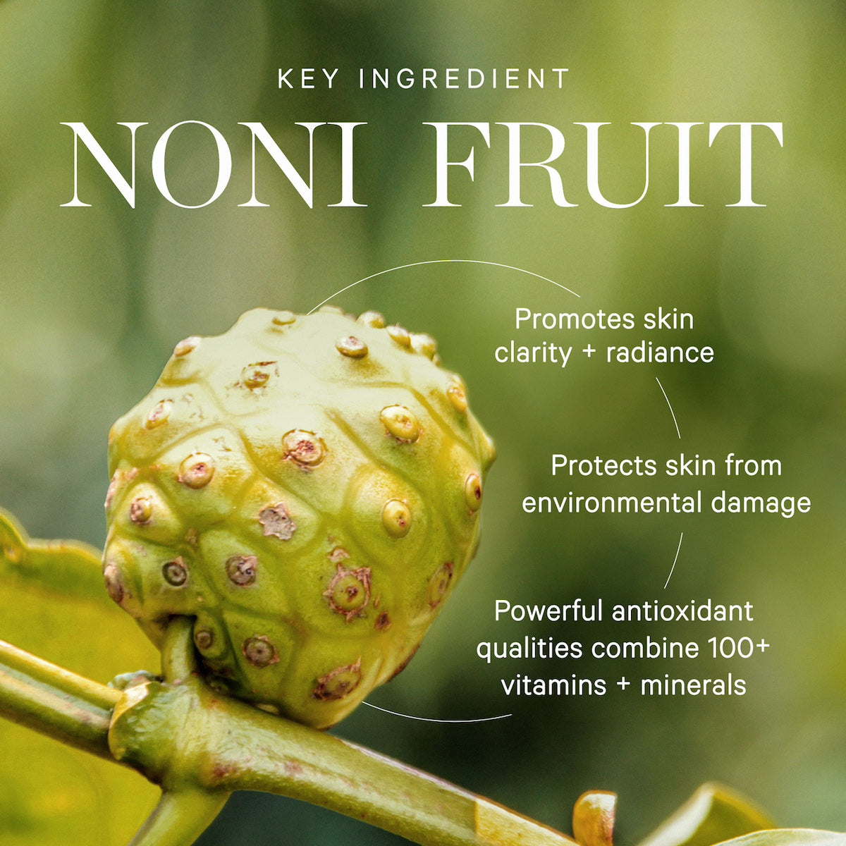 Kora Organics Noni Glow Face Oil Gesichtsöl 30 ml trockene Haut