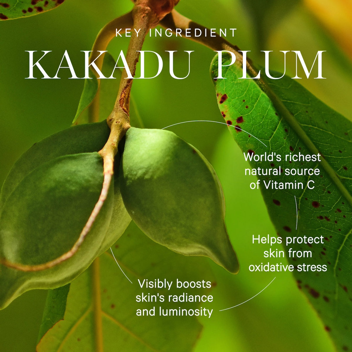 Kora Organics Kakadu Plum Vitamin C Serum 30ml Glow
