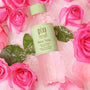 Pixi Rose Infused Rose Tonic Gesichtstoner 250 ml alkoholfrei
